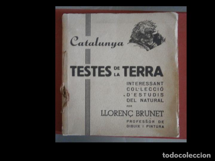 Libros antiguos: Catalunya. Testes de la terra. Lloren&ccedil; Brunet - Foto 1