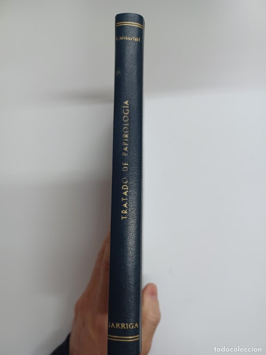 Libros antiguos: CALDERINI, A. TRATADO DE PAPIROLOG&Iacute;A - Foto 3