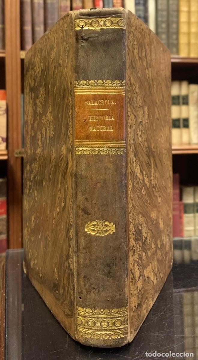 Libros antiguos: Nuevos Elementos de Historia Natural. A. Salacroux - Foto 7