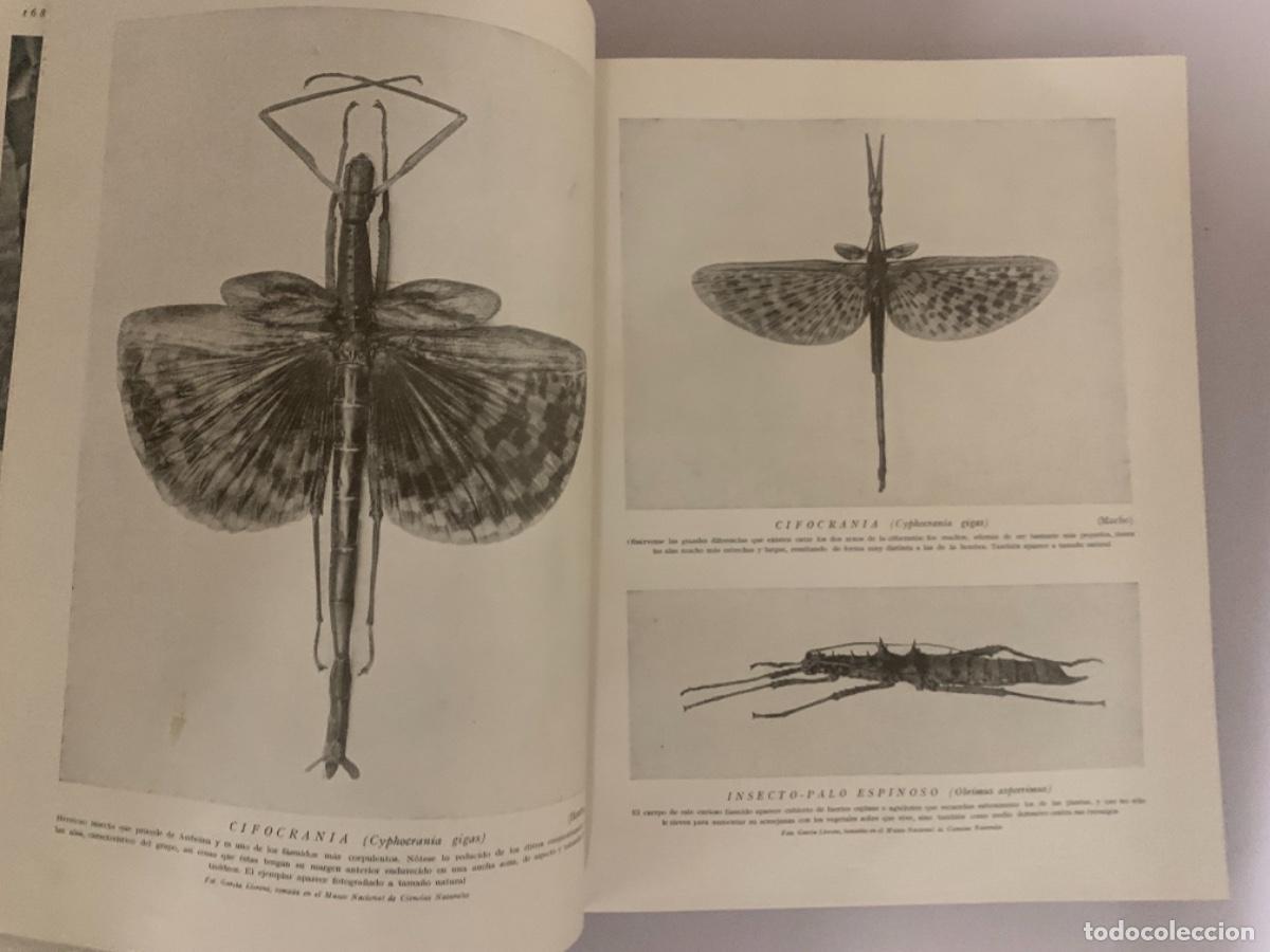 Libros antiguos: Historia Natural 4 tomos completa - Foto 2
