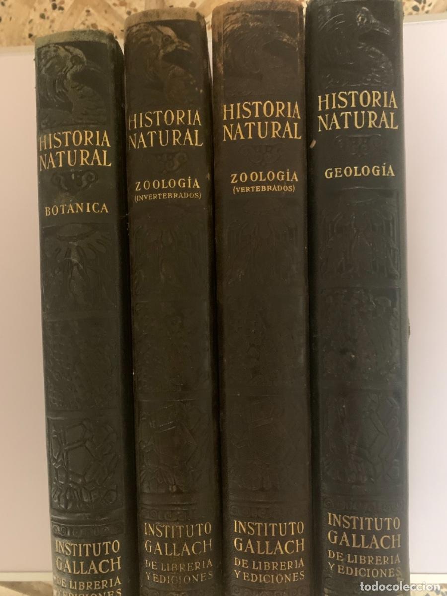 Libros antiguos: Historia Natural 4 tomos completa - Foto 3