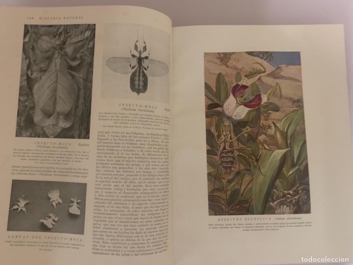 Libros antiguos: Historia Natural 4 tomos completa - Foto 4