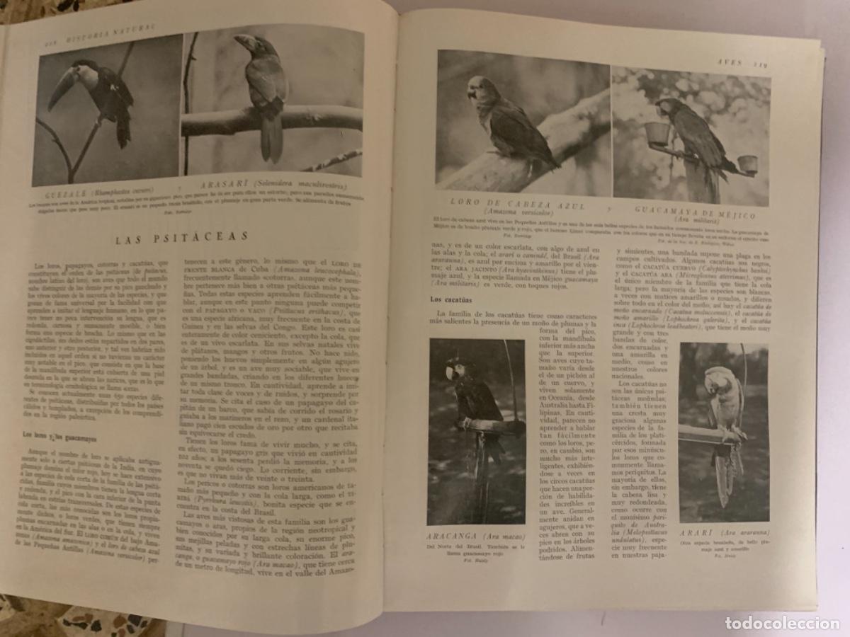 Libros antiguos: Historia Natural 4 tomos completa - Foto 7