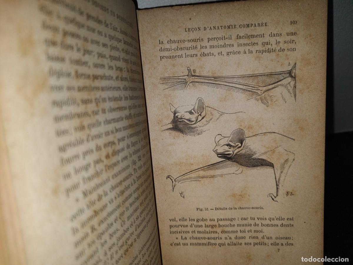 Libros antiguos: 64- C&Oacute;MO VOLVERSE DIBUJANTE. COMMENT ON DEVIENT UN DESSINATEUR - E. VIOLLET-LE-DUC - 1800S - Foto 11