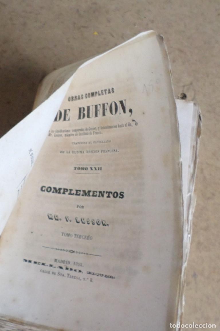 Libros antiguos: Obras completas DE BUFFON - COMPLEMENTOS - Mr. P. Lesson -Tomo III - 1948 - Foto 3