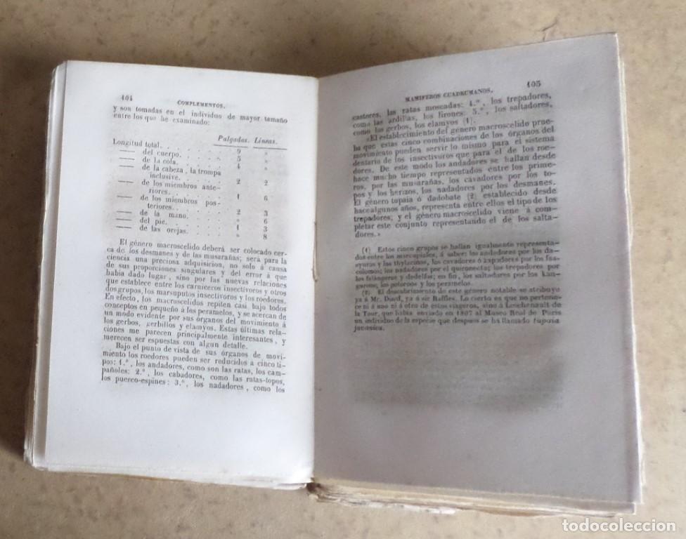 Libros antiguos: Obras completas DE BUFFON - COMPLEMENTOS - Mr. P. Lesson -Tomo III - 1948 - Foto 4