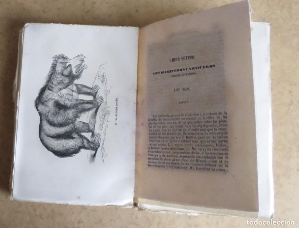 Libros antiguos: Obras completas DE BUFFON - COMPLEMENTOS - Mr. P. Lesson -Tomo III - 1948 - Foto 5
