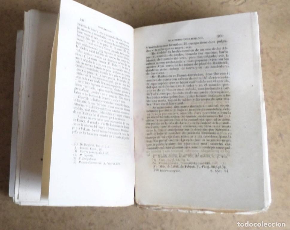 Libros antiguos: Obras completas DE BUFFON - COMPLEMENTOS - Mr. P. Lesson -Tomo III - 1948 - Foto 7