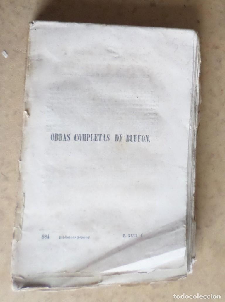 Libros antiguos: Obras completas DE BUFFON - COMPLEMENTOS Mr. P. Lesson 1849 - Foto 1