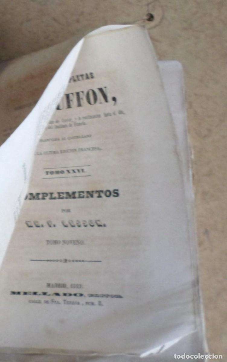 Libros antiguos: Obras completas DE BUFFON - COMPLEMENTOS Mr. P. Lesson 1849 - Foto 3