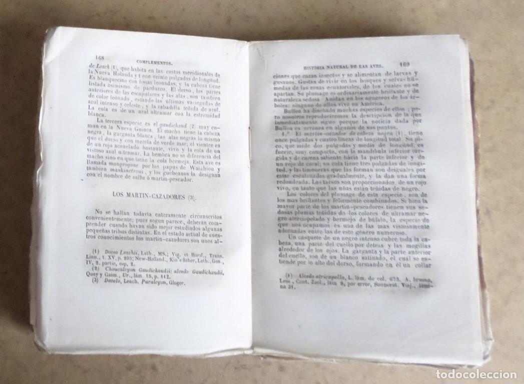 Libros antiguos: Obras completas DE BUFFON - COMPLEMENTOS Mr. P. Lesson 1849 - Foto 4