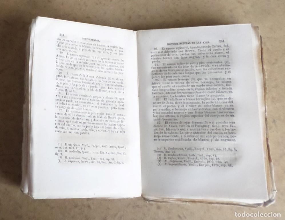Libros antiguos: Obras completas DE BUFFON - COMPLEMENTOS Mr. P. Lesson 1849 - Foto 5