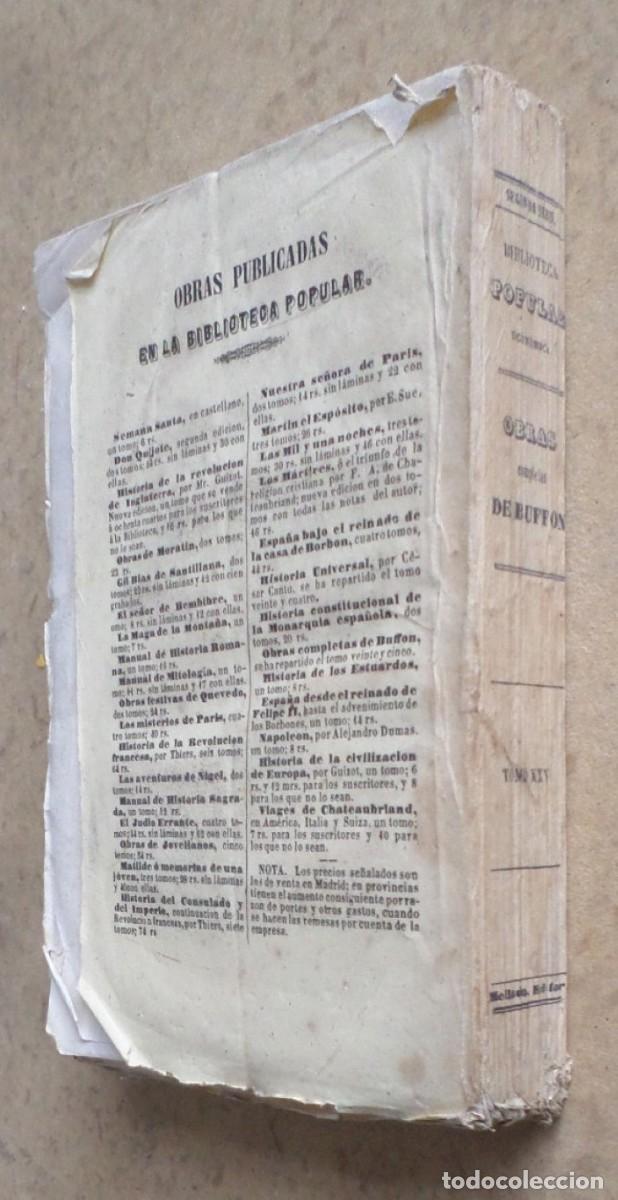 Libros antiguos: Obras completas DE BUFFON - COMPLEMENTOS - Tomo 8 - Madrid 1849 - Foto 2