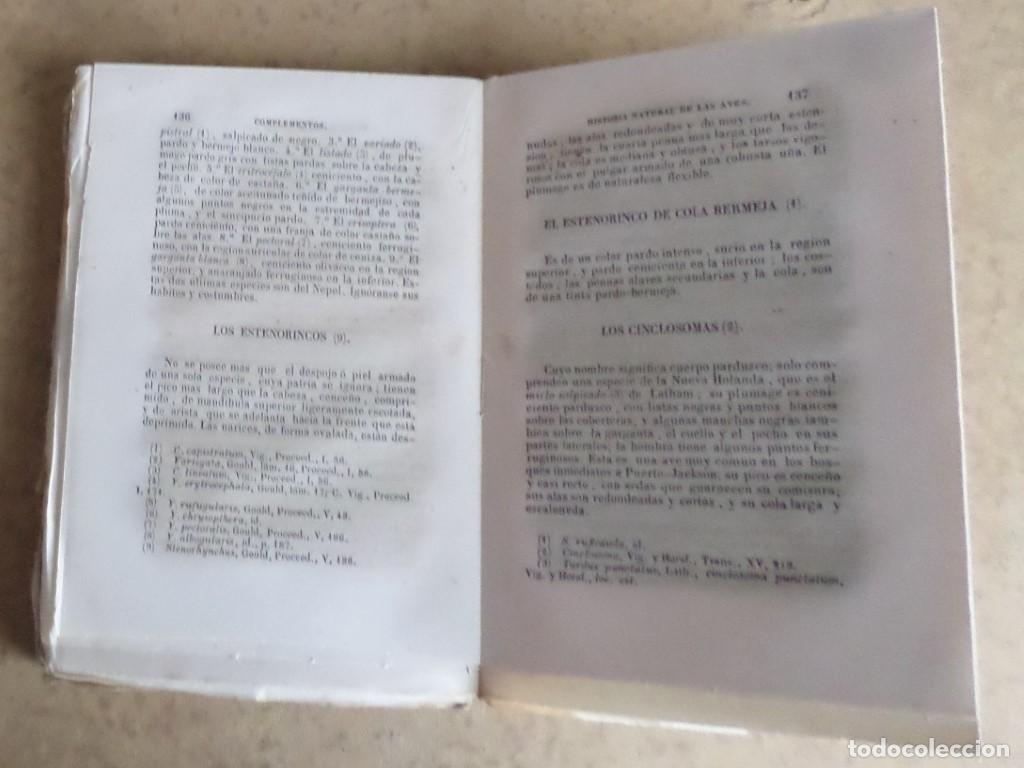 Libros antiguos: Obras completas DE BUFFON - COMPLEMENTOS - Tomo 8 - Madrid 1849 - Foto 3