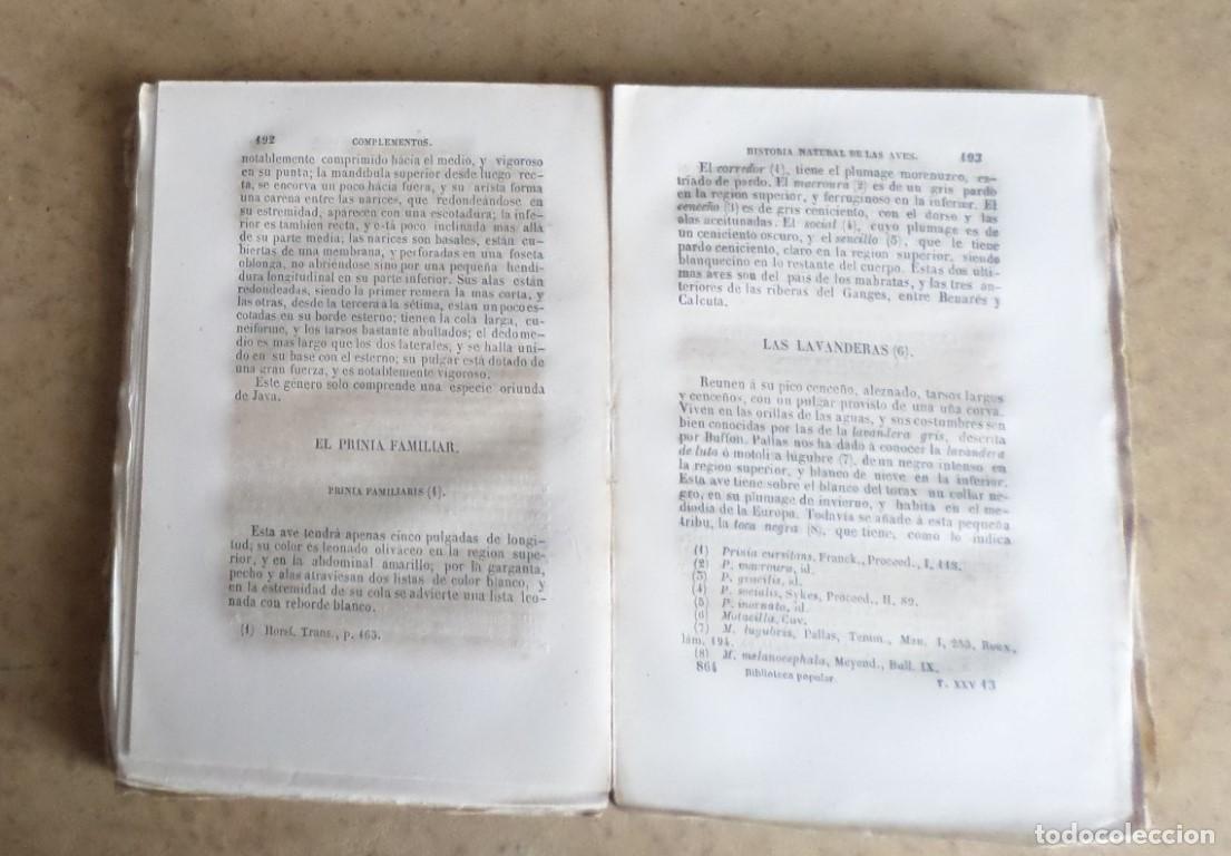 Libros antiguos: Obras completas DE BUFFON - COMPLEMENTOS - Tomo 8 - Madrid 1849 - Foto 4