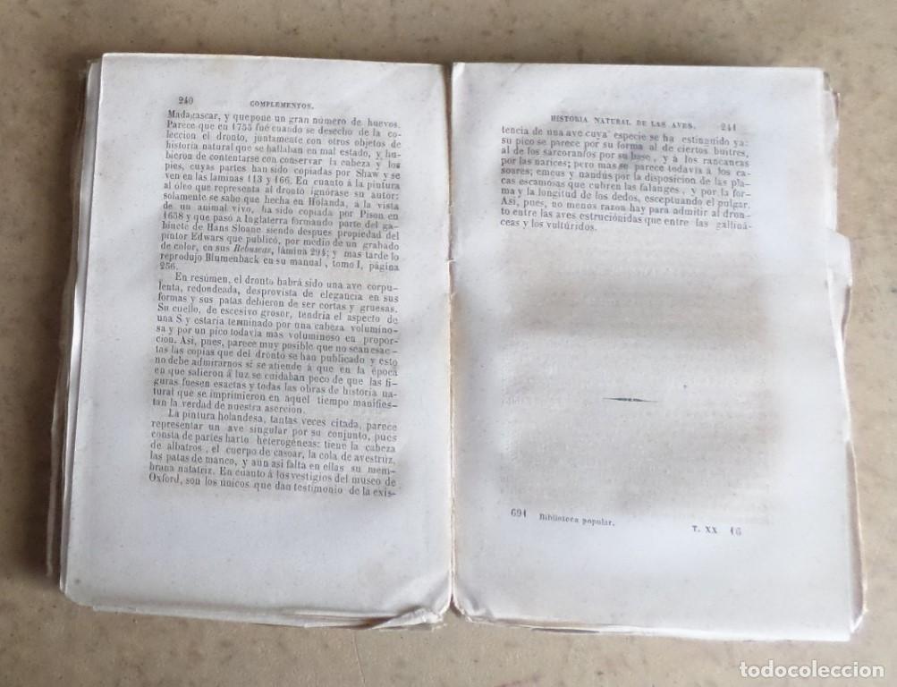 Libros antiguos: Obras completas DE BUFFON - COMPLEMENTOS - Tomo 5 - Madrid 1848 grabado - Foto 3