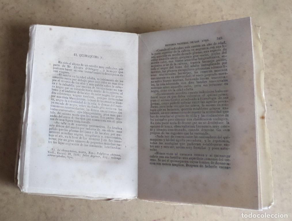Libros antiguos: Obras completas DE BUFFON - COMPLEMENTOS - Tomo 5 - Madrid 1848 grabado - Foto 4