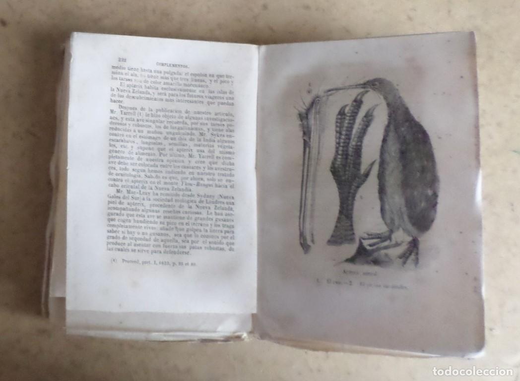 Libros antiguos: Obras completas DE BUFFON - COMPLEMENTOS - Tomo 5 - Madrid 1848 grabado - Foto 5