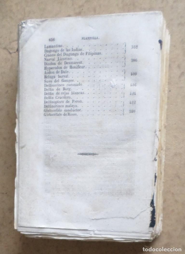 Libros antiguos: Obras completas DE BUFFON - COMPLEMENTOS - Tomo 4 - Madrid 1849 - Con grabados - Foto 2