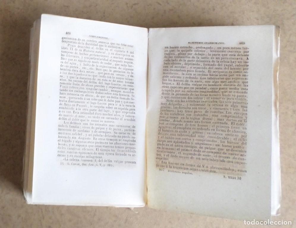 Libros antiguos: Obras completas DE BUFFON - COMPLEMENTOS - Tomo 4 - Madrid 1849 - Con grabados - Foto 5