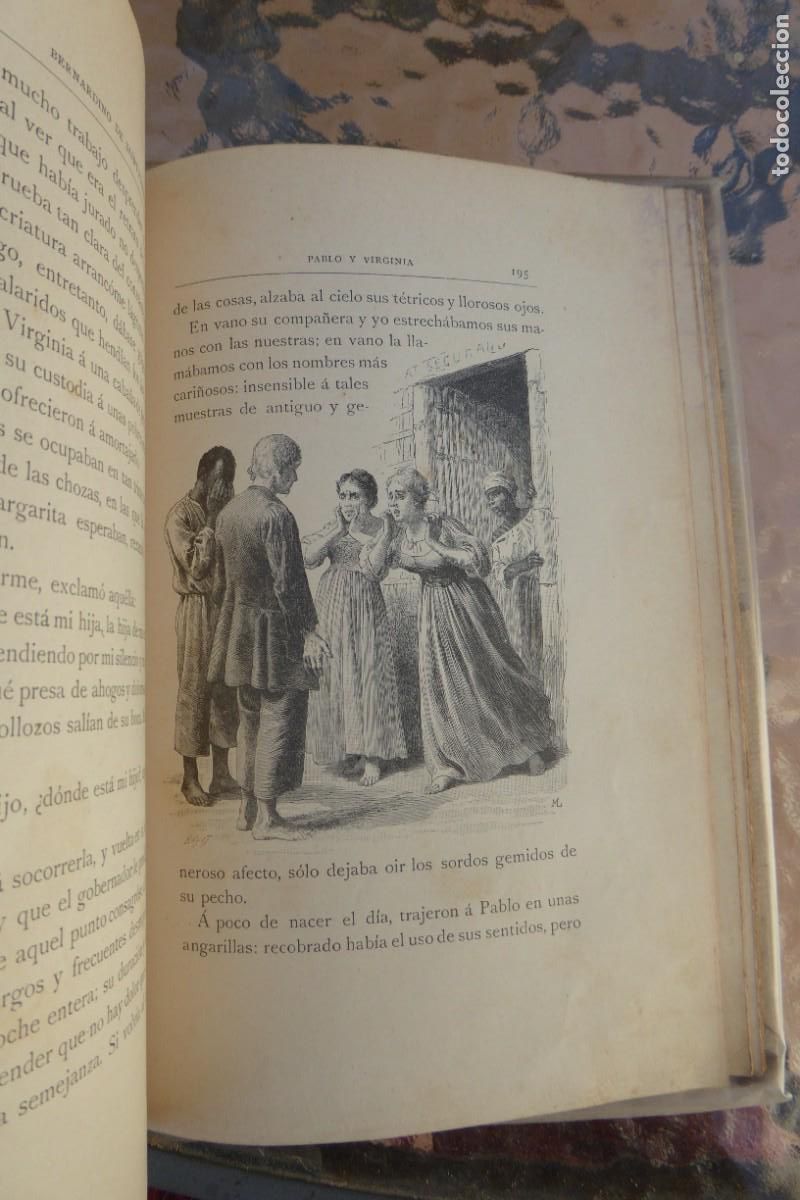 Libros antiguos: Pablo y Virginia. B. de Saint-Pierre. 1902 - Foto 4