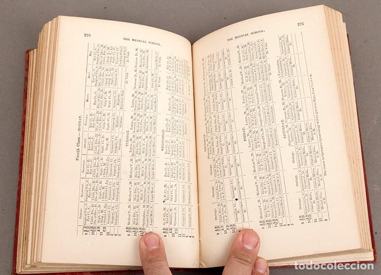 Libros antiguos: The Harvard University Catalogue 1886-87 - Foto 11