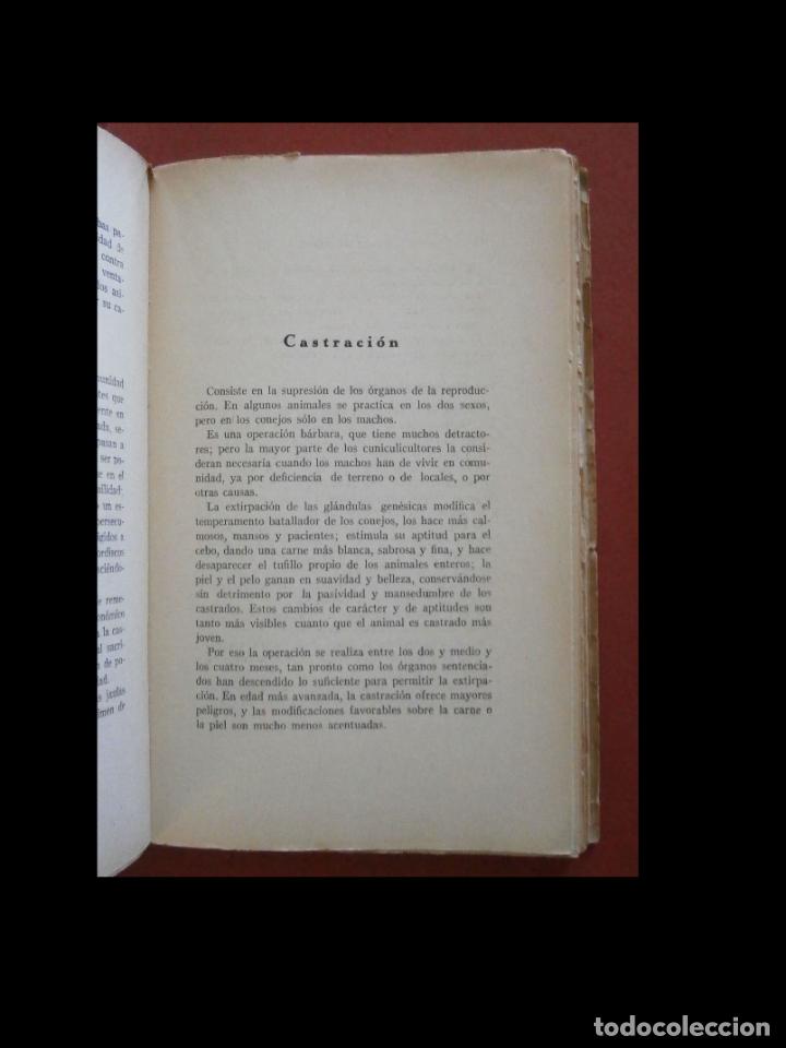 Libros antiguos: Cria industrial y explotaci&oacute;n de los conejos. E. Villegas Arango - Foto 3