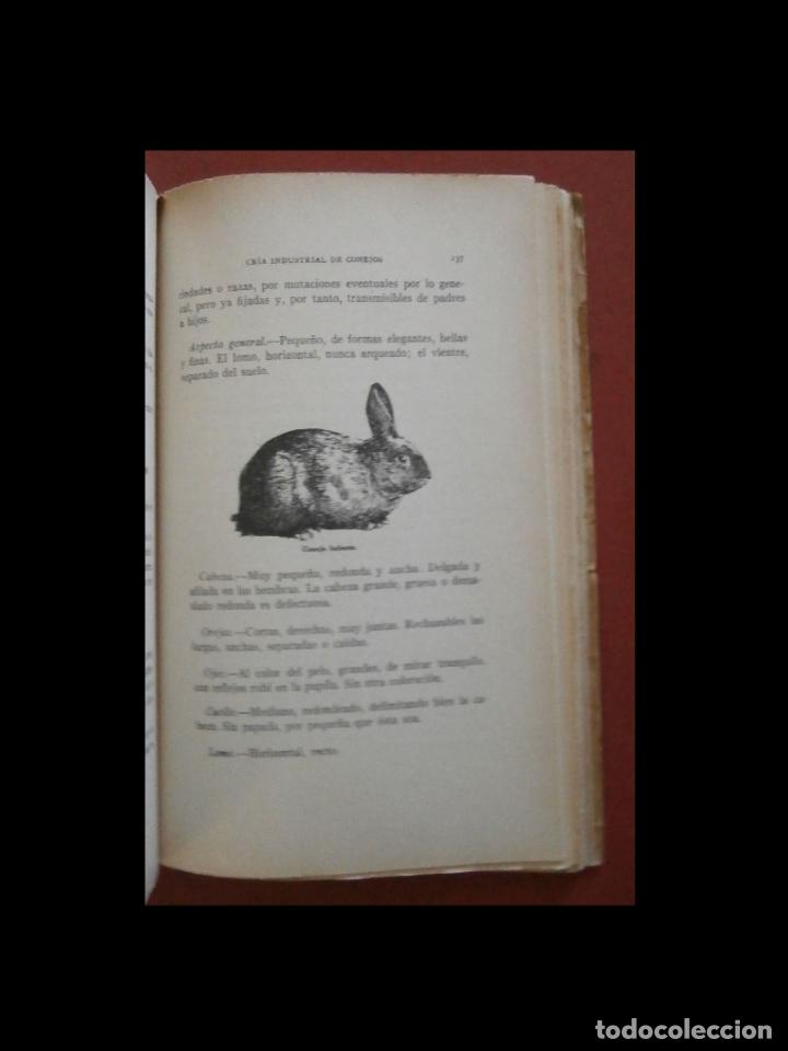 Libros antiguos: Cria industrial y explotaci&oacute;n de los conejos. E. Villegas Arango - Foto 4