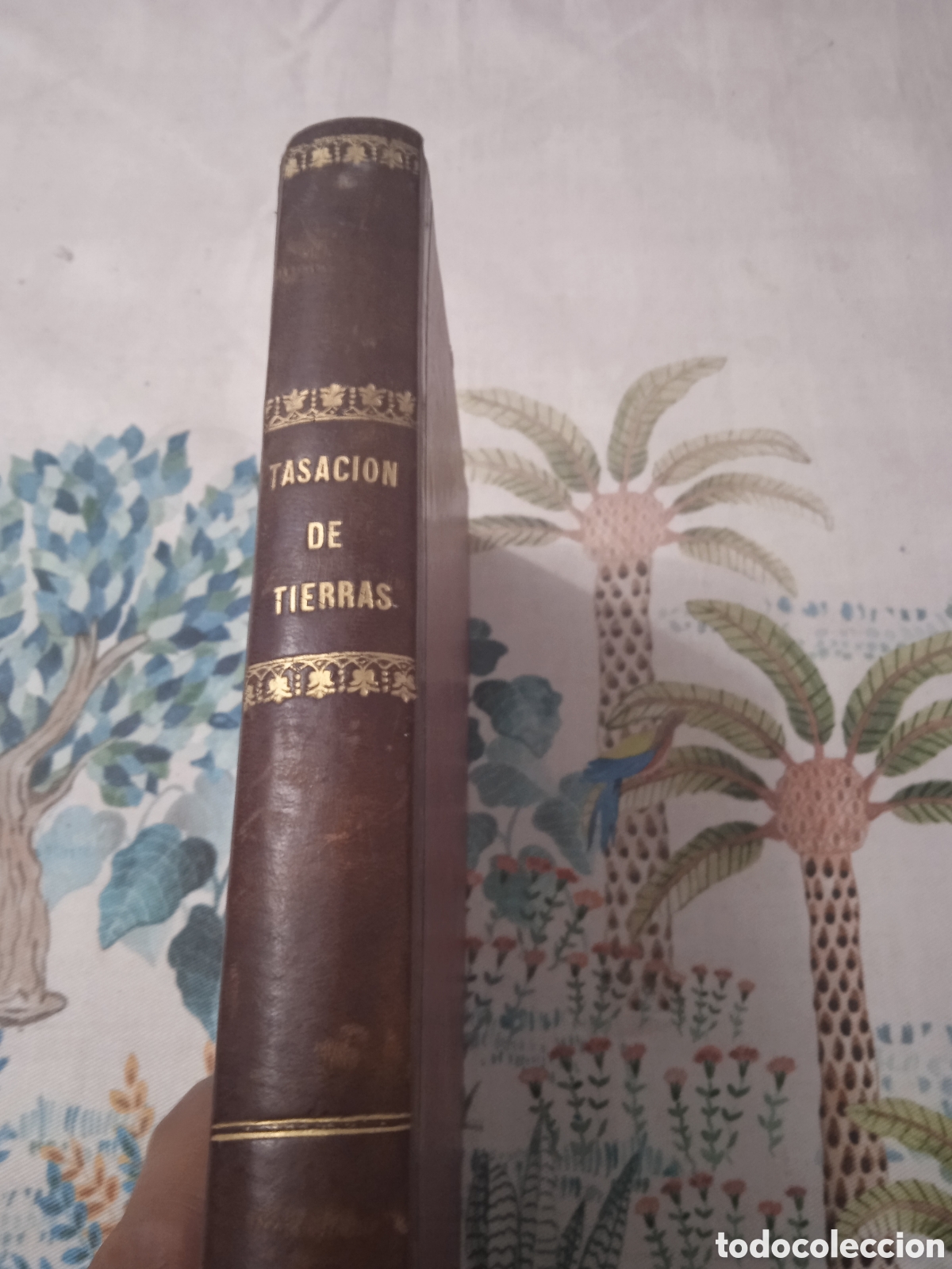 Libros antiguos: Tratado de tasaci&oacute;n de tierras 1877 - Foto 1