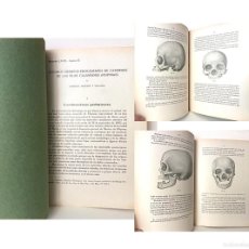 Libros antiguos: FILIPINAS. ALGUNOS CRÁNEOS PROCEDENTES DE CAVERNAS DE LAS ISLAS CALAMIANES. FILIPINAS. 1928. Lote 402028324