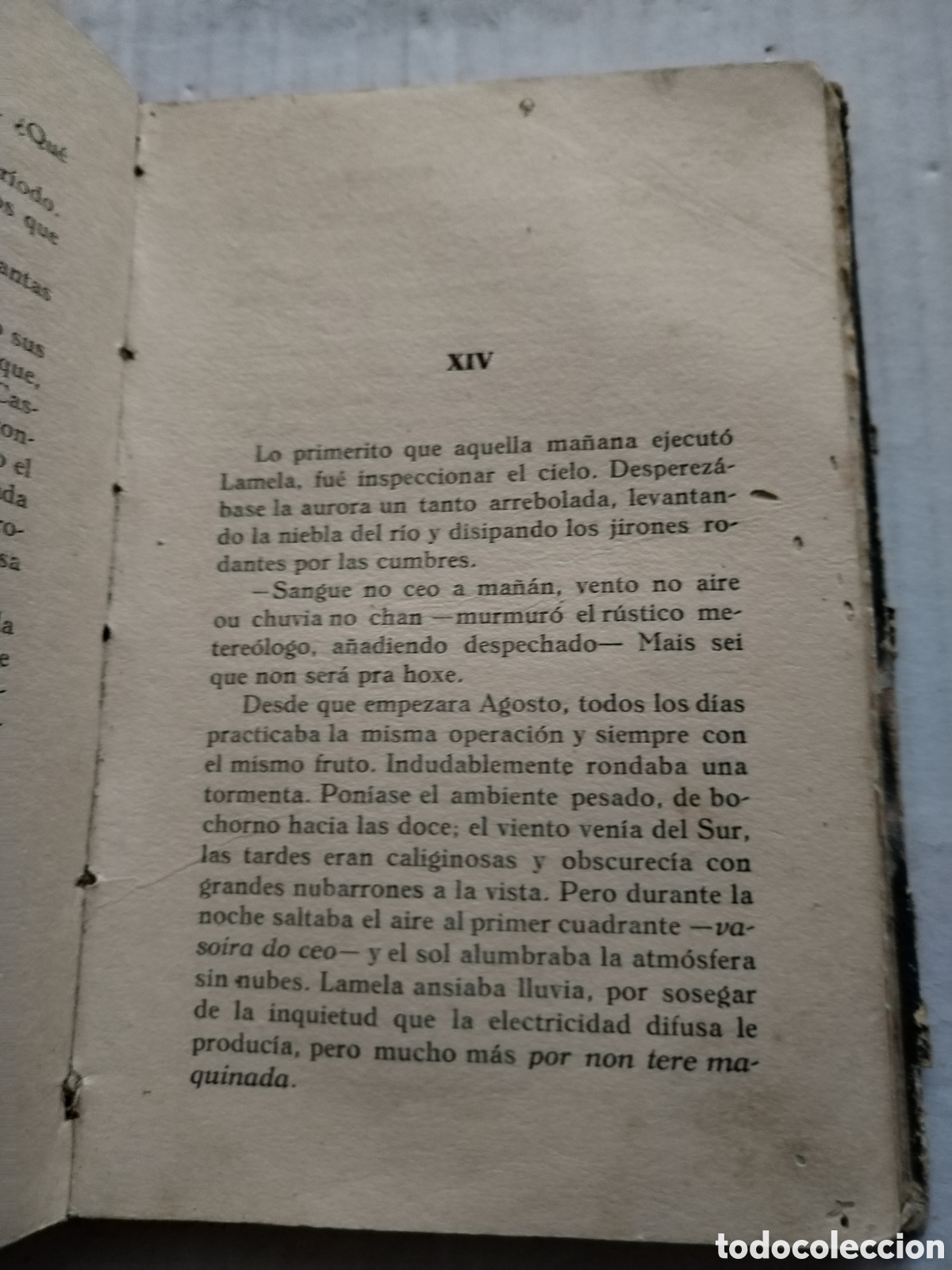Libros antiguos: EL PAZO 1923/ARMANDO COTARELO VALLEDOR - Foto 8