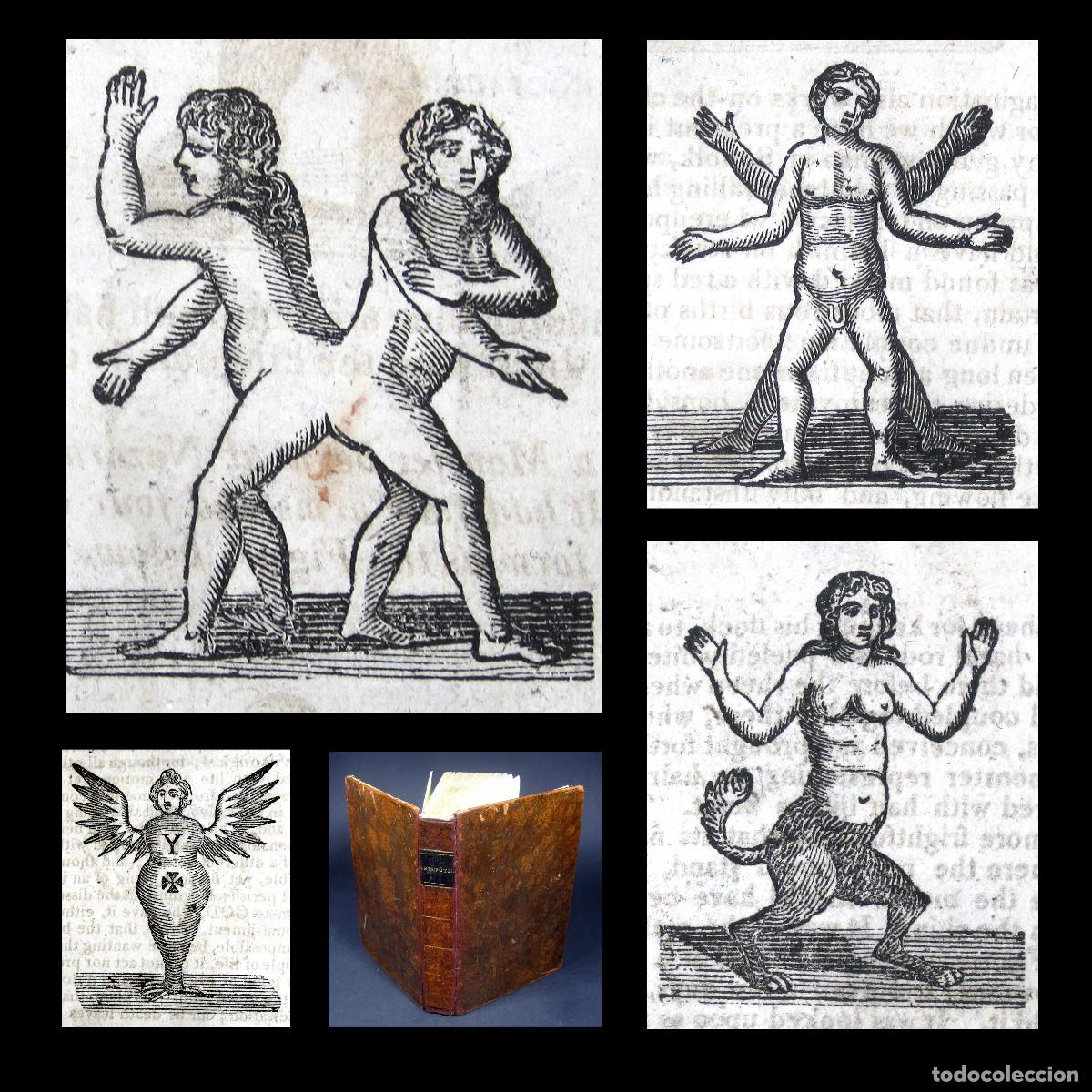 año 1790 aristóteles manual del sexo monstruos - Compra venta en  todocoleccion