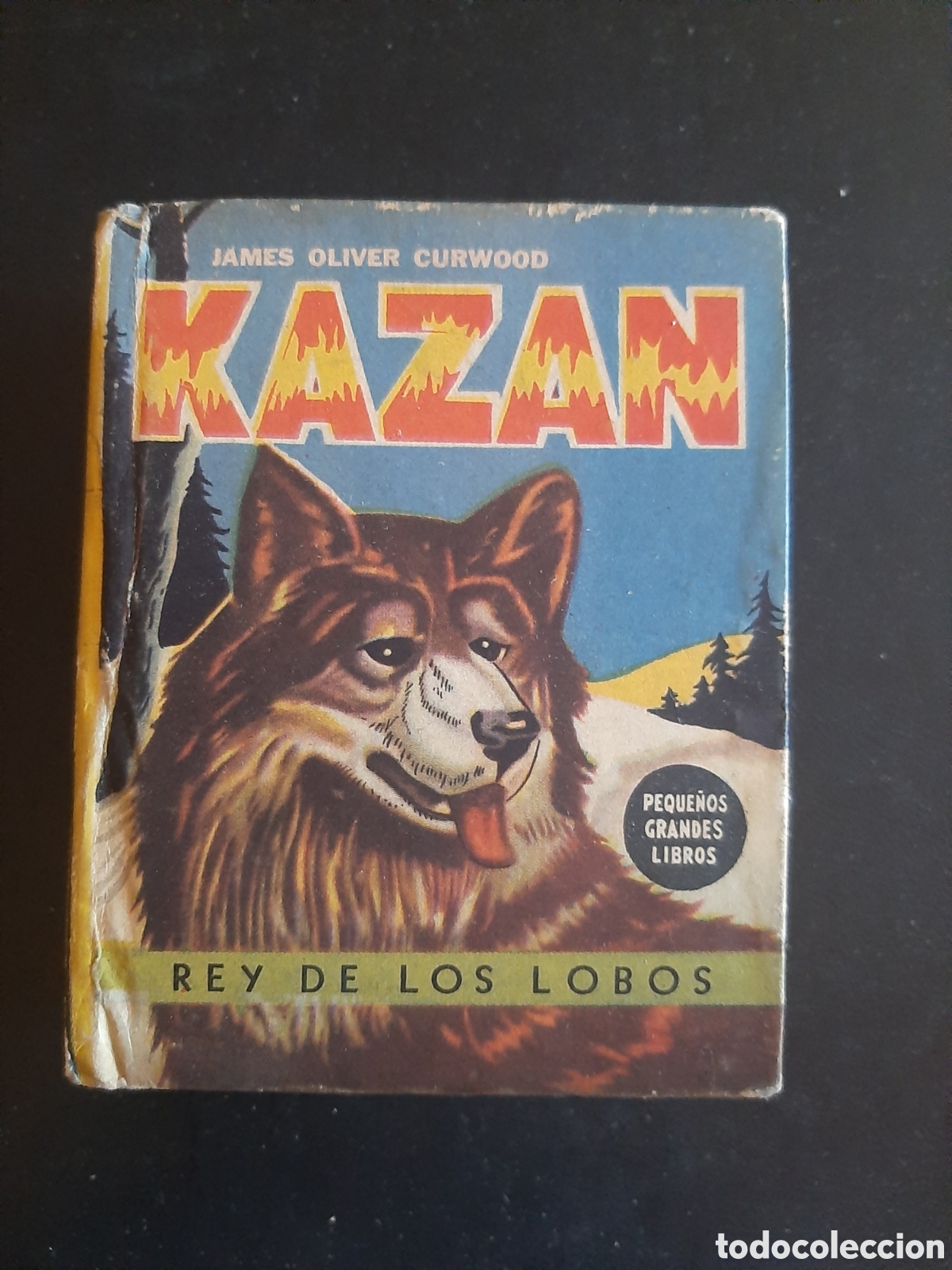 Libros antiguos: Peque&ntilde;os grandes libros edit abril Kazan - Foto 1