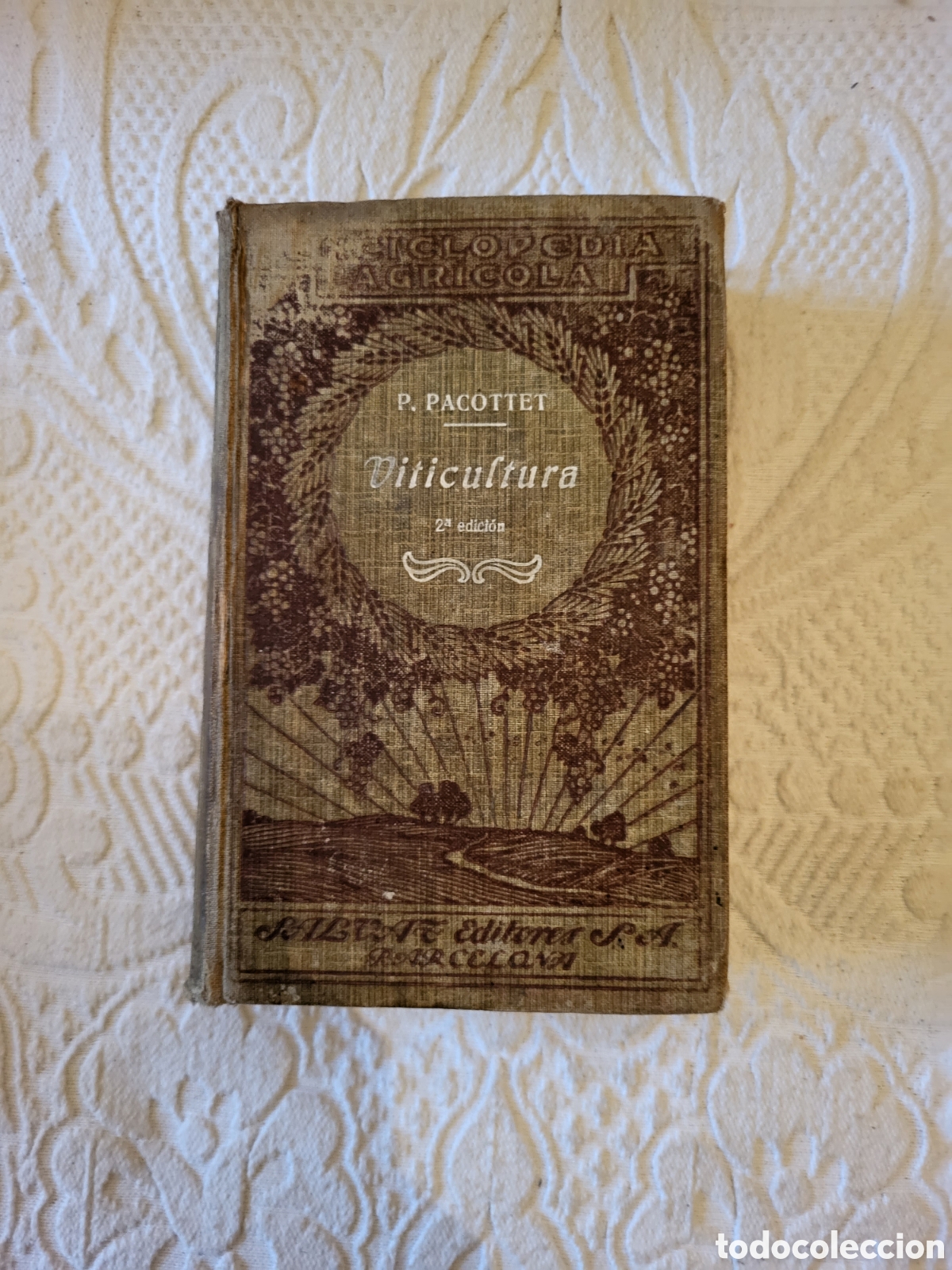 Libros antiguos: VITICULTURA/Pablo Pacottet - Foto 2