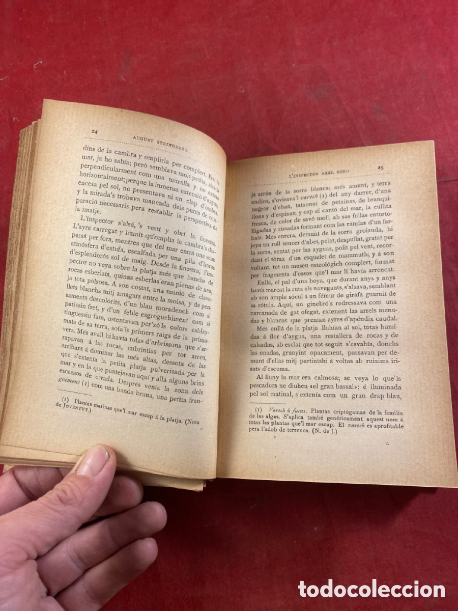 Libros antiguos: L&rsquo;INSPECTOR AXEL BORG NOVELA DE AUGUST STRINDBERG 1902 - Foto 3