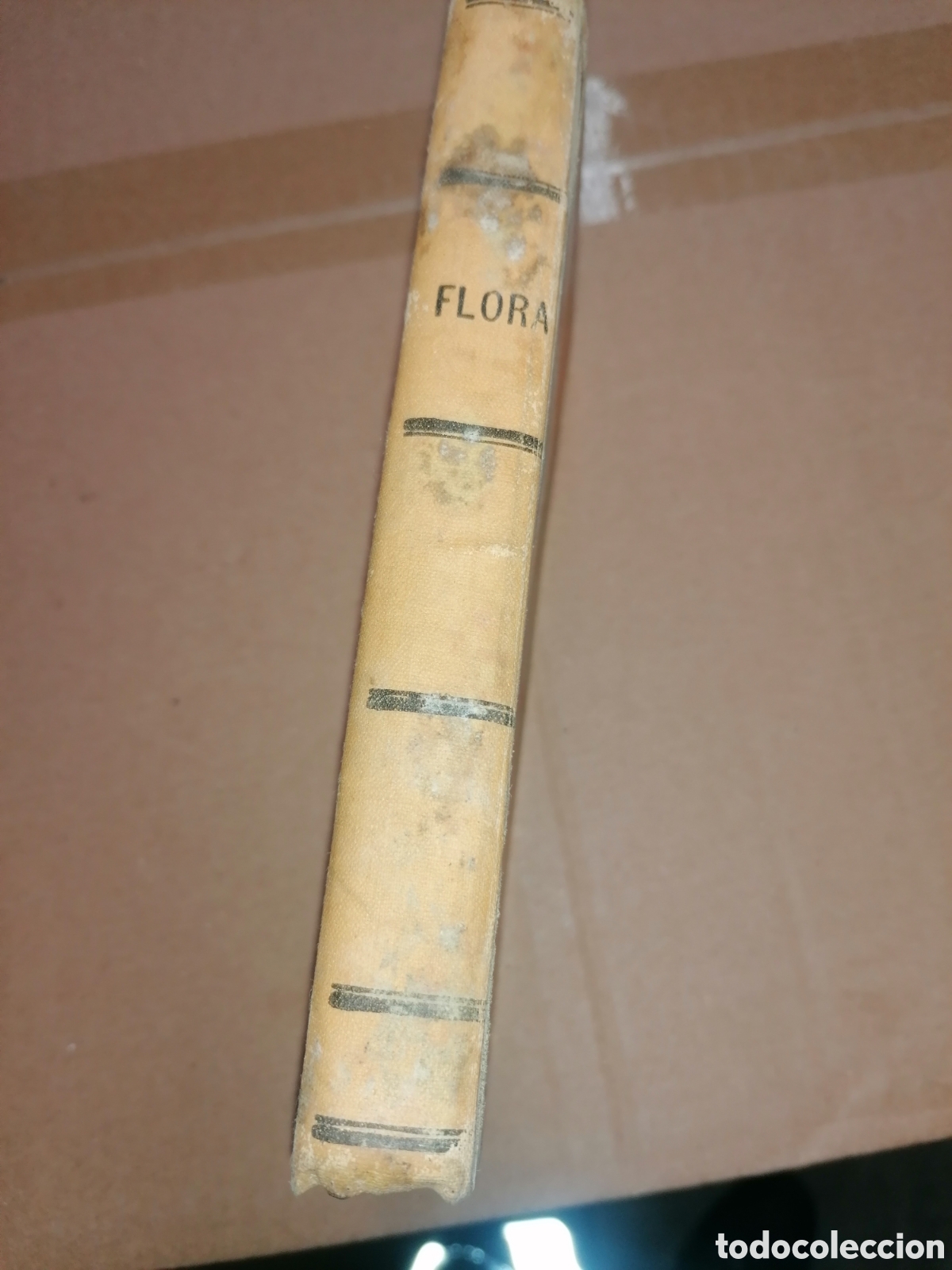 Libros antiguos: Antiguo libro flora - Foto 3