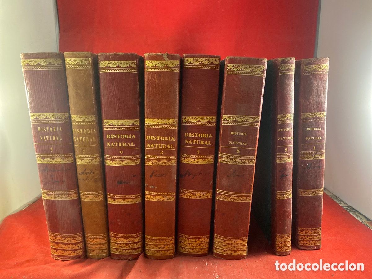 Old books: MUSEO PINTORESCO DE HISTORIA NATURAL 1858