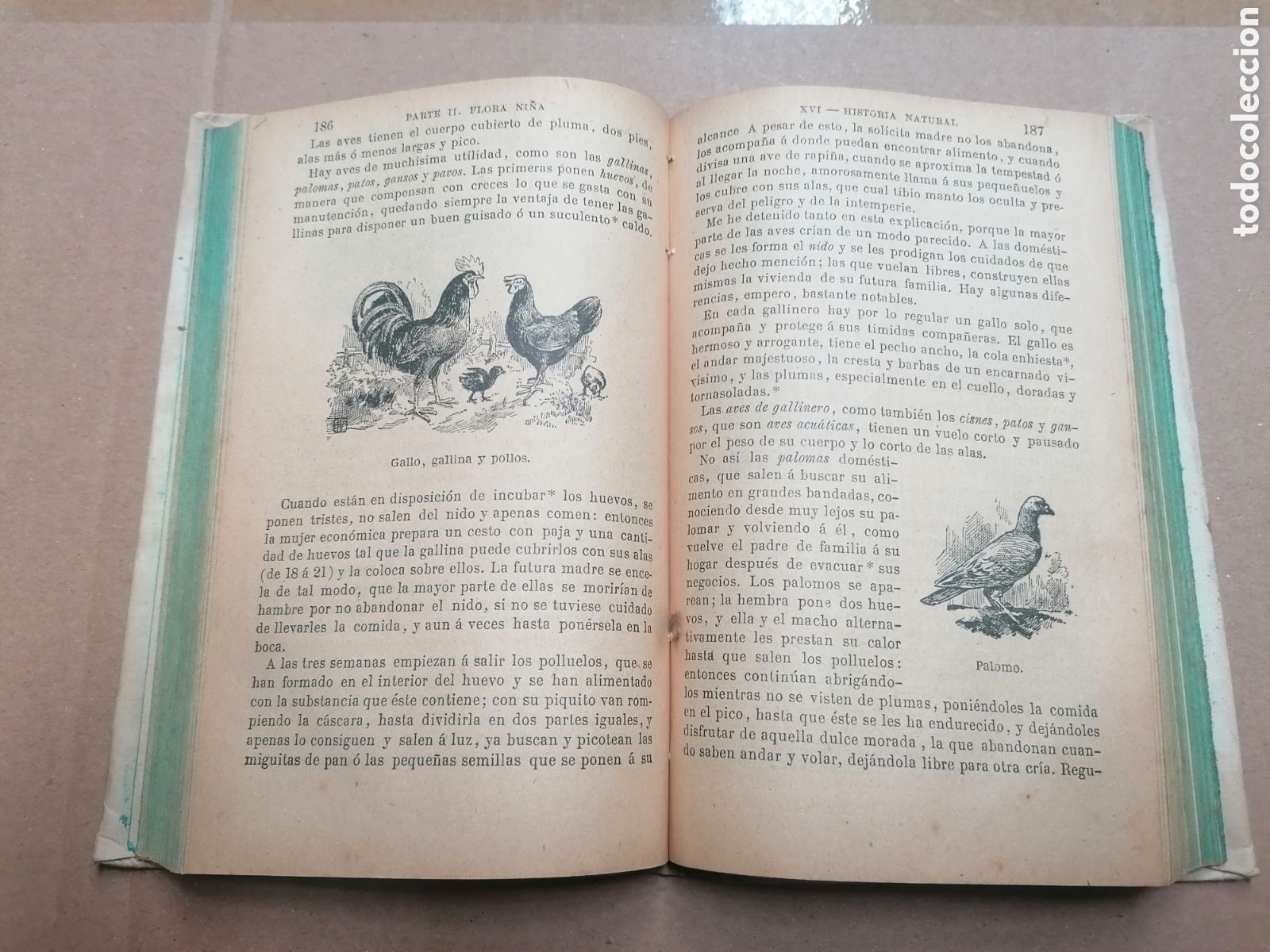 Libros antiguos: Antiguo libro flora - Foto 4