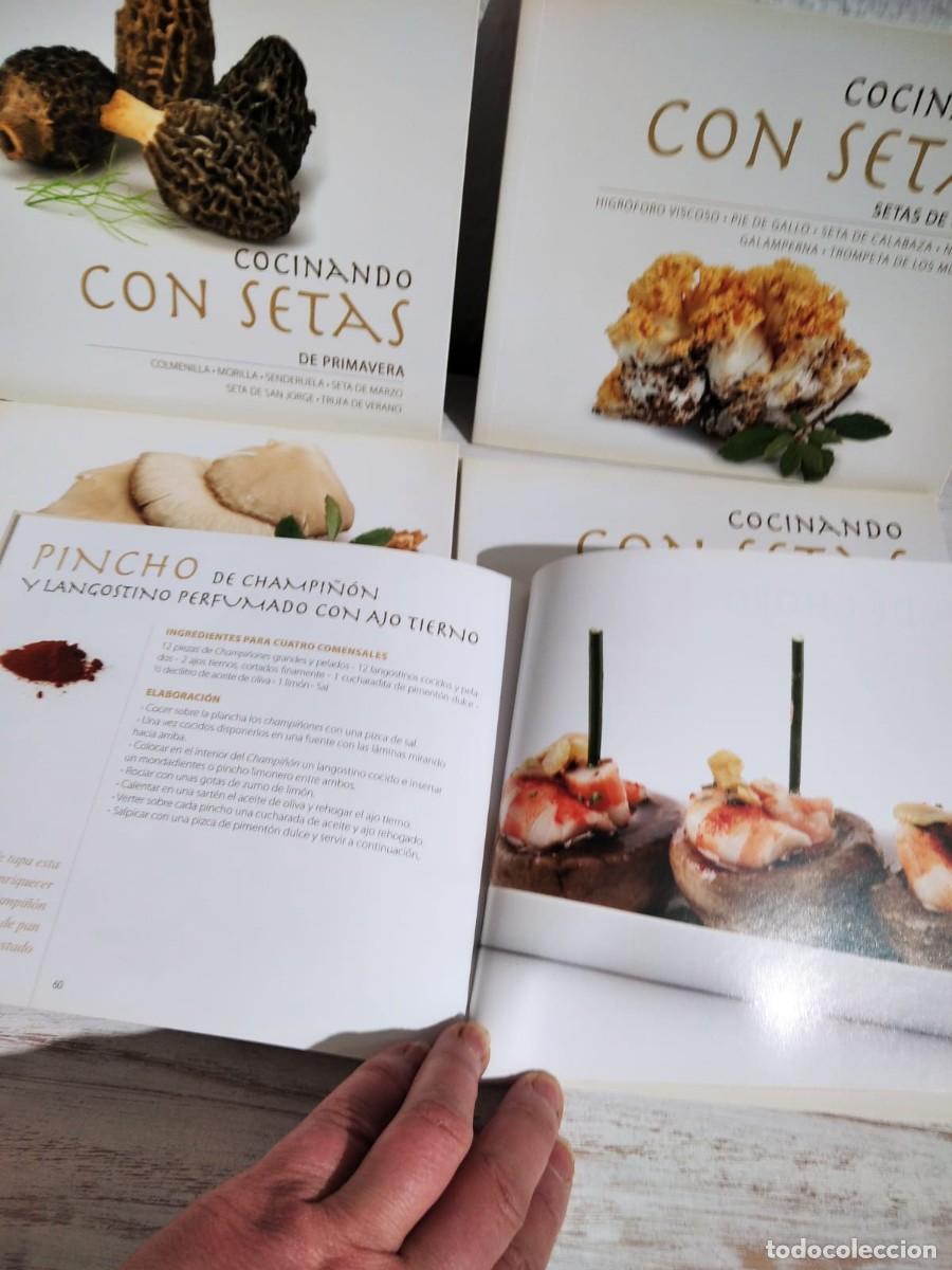 Cocineando Recetas de Primavera, libro gratuito en PDF