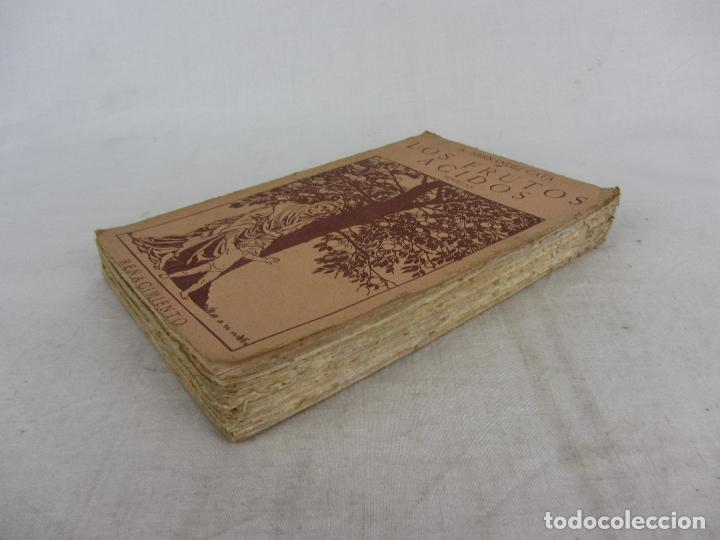 Libros antiguos: Hernandez Cat&aacute;: Los frutos &aacute;cidos &ndash; Renacimiento 1915 - Foto 6