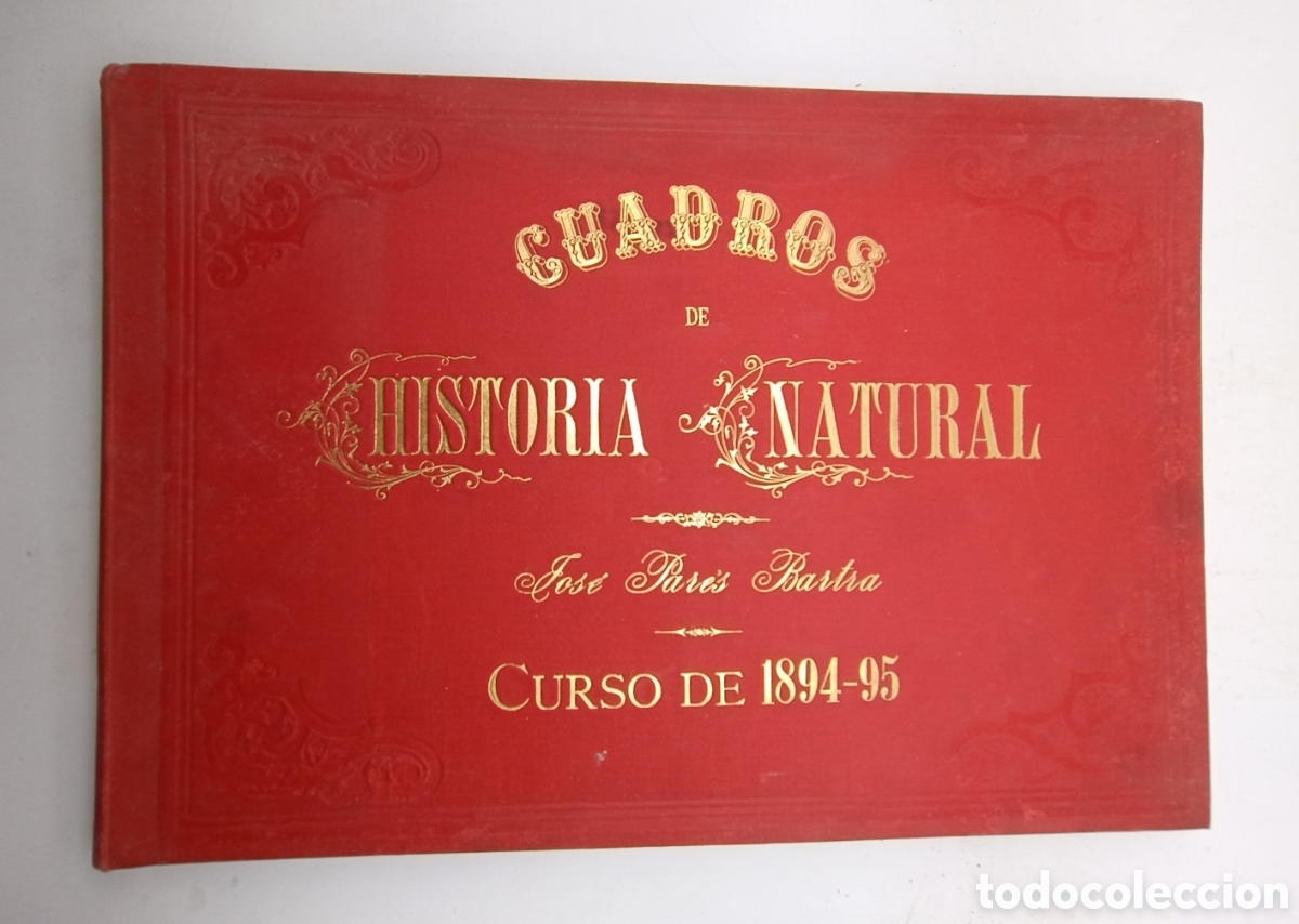 Livros antigos: Obra &uacute;nica Escuelas Pias de Barcelona cuadro historia natural curso 1894 95 manuscrito