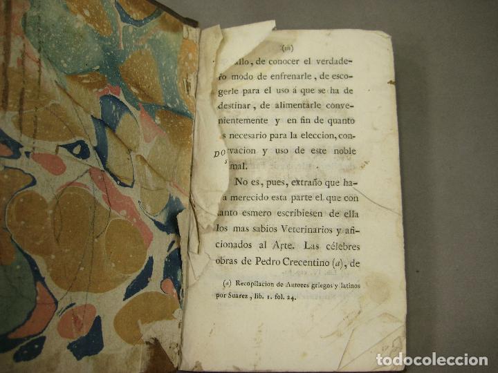 Libros antiguos: EXTERIOR DEL CABALLO - Foto 4