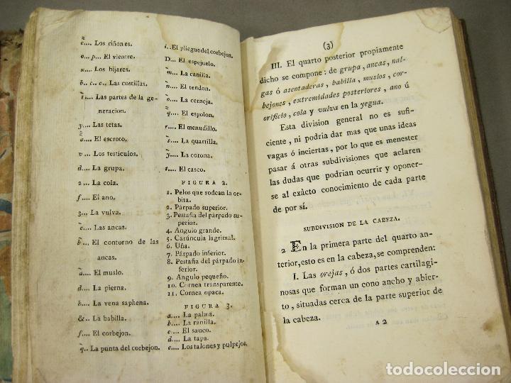Libros antiguos: EXTERIOR DEL CABALLO - Foto 6