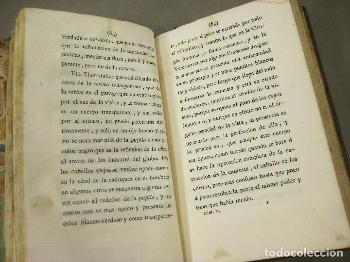 Libros antiguos: EXTERIOR DEL CABALLO - Foto 7