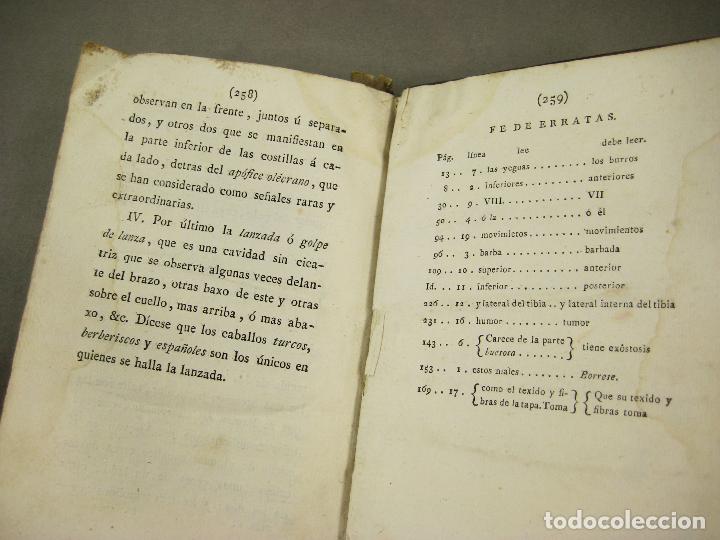 Libros antiguos: EXTERIOR DEL CABALLO - Foto 8
