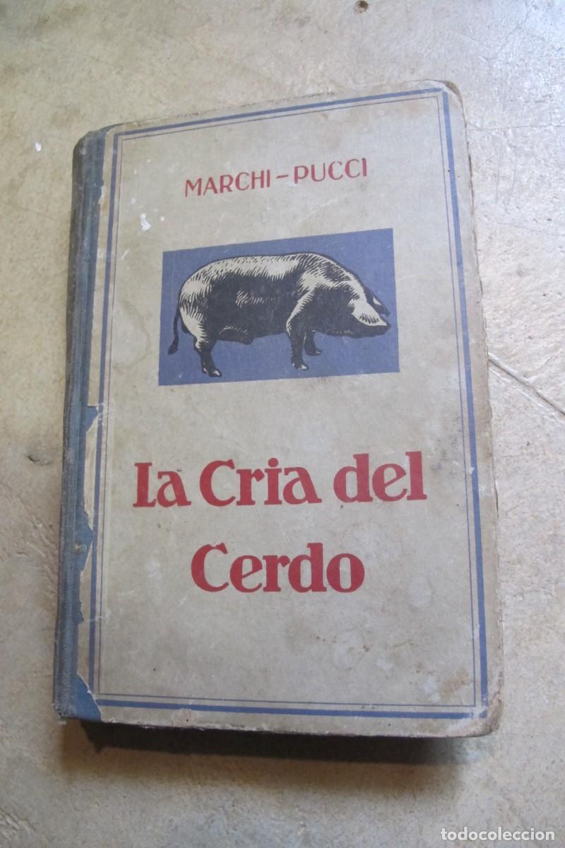 Libros antiguos: LA CRIA DEL CERDO. MARCHI - PUCCI 1934 - Foto 1