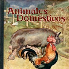 Libros antiguos: GENARO DEL ÁGUILA : ANIMALES DOMÉSTICOS (SOPENA, 1939) CON LÁMINAS EN COLOR
