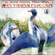 Libros antiguos: AVES Y ANIMALES DE CAZA (REINO ANIMAL PARA NIÑOS SOPENA) CON LÁMINAS EN COLOR