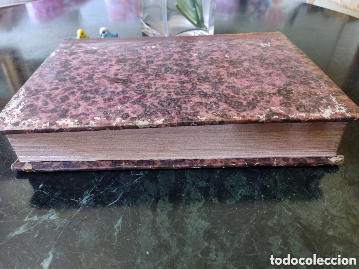 Libros antiguos: Cedulas reales VI 1739 a 1777 - Foto 3