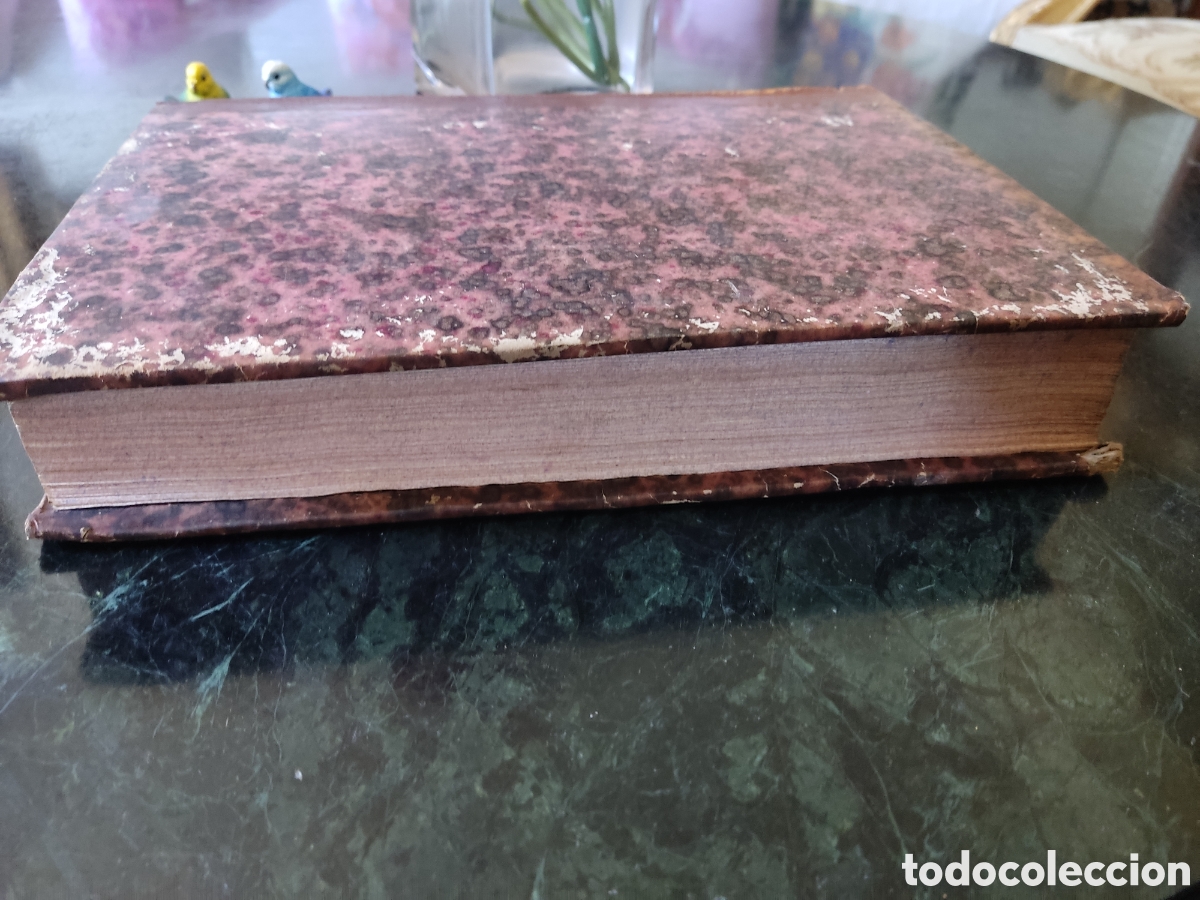 Libros antiguos: Cedulas reales VI 1739 a 1777 - Foto 3